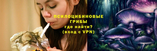 apvp Аркадак