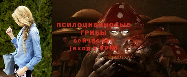 ECSTASY Горнозаводск