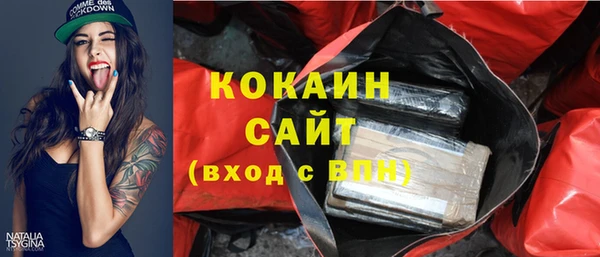 ГАЛЛЮЦИНОГЕННЫЕ ГРИБЫ Горно-Алтайск