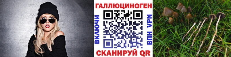 Галлюциногенные грибы Magic Shrooms  как найти наркотики  Приморско-Ахтарск 